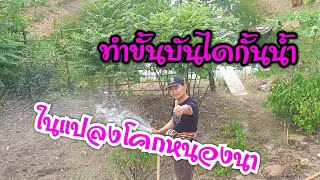 ขั้นบันไดกักน้ำ ในแปลงโคกหนองนา#บ้านสวนกำภูEp198