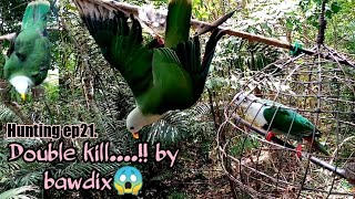 BIRD HUNTING EP21- NAKA DOUBLE KILL SI BAWDIX NG MALALAKI ANG HUNI (ANDO, ALIMOKON, FRUIT DOVE)