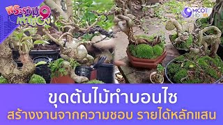 ขุดต้นไม้ทำบอนไซ  สร้างงานจากความชอบ รายได้หลักแสน!!   (7 ต.ค. 66) | พระราม 9 เล่าเรื่อง