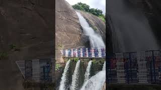 OLD KUTRALAM FALLS TODAY UPDATE