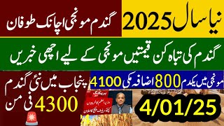 Munji rates 2024 /Gundam rate 2025 /Makki /Wheat Support Price 2025 گندم کی امدادی قیمت فائنل اعلان/