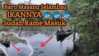 Hasil yang sangat memuaskan - Berburu ikan dengan perangkap Selambau