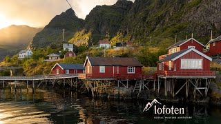 Hike the Lofoten Islands with She Walks the Walk