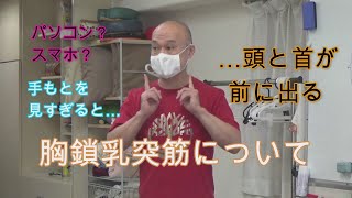 胸鎖乳突筋について（小川隆之）／オープンパス・メソッド®／ボディワーク