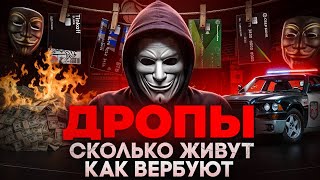 ДРОПЫ - Сколько Живут И КАК ИХ ВЕРБУЮТ МОШЕННИКИ?