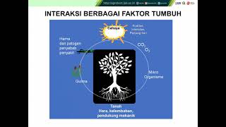 Kuliah Dasar dasar Agronomi 2020: Faktor Lingkungan dalam Pertumbuhan Tanaman bagian 1