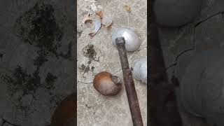 Casting Melting Aluminum into Snail out of Scrap Restoration #shorts #viralvideo #reels #art