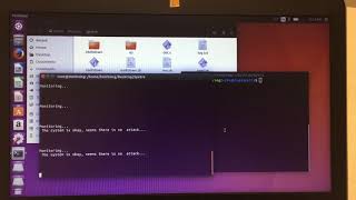 SPECTRE ATTACK DETECTION