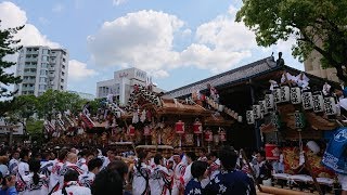 平成30年5月4日　東灘だんじり祭り 本住吉神社宮出(山田區・空區・吉田區・呉田區・住之江區・反高林區・西區・茶屋區)