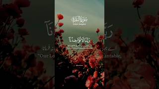 Surah Al Baqarah Full (سورة البقره) HEART TOUCHING RECITATION | Zikrullah TV