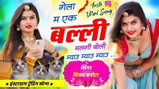 बिल्ली वायरल सोंग 2025 || गेला म 1 बिल्ली मिलगी, बोली म्याऊ म्याऊ म्याऊ || gela me ek billi milgi