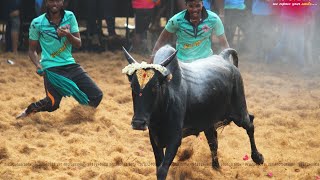 காட்டூர் கார்த்தியின் தம்பிகள் நாமக்கல் அப்பு பிரதர்ஸ்||பொட்டிரெட்டிபட்டி ஜல்லிக்கட்டு 2022||