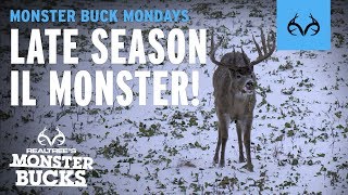 GIANT Whitetail | Late Season Illinois | Monster Bucks Mondays