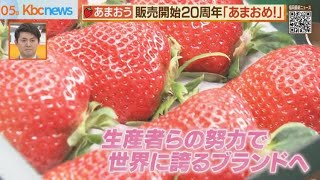 「あまおう」２０周年で生産者が知事表敬