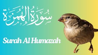 Surah Al Humazah,Hearth Touching voice of Hafiz Muhammad Haseeb