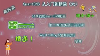 openwrt系列第十一期：SmartDNS从入门到精通（六） 最终篇 分享我的SmartDNS设置 使用第二DNS服务器开启分流 WI FI Calling配置开启技巧 抄作业教程 保姆级教程