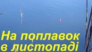 Осіння риболовля на махову вудку! Рибалка в листопаді на поплавок! Яка риба клює в листопаді?