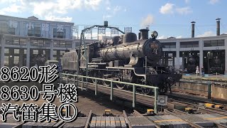 【蒸気機関車汽笛】8620形蒸気機関車8630号機汽笛集+入庫①