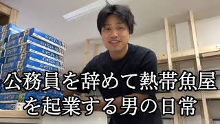 公務員を辞めて熱帯魚屋を起業する男の日常【Vol.24】