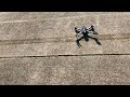 snaptain sp550 foldable drone with gps first test flight watch before you buy