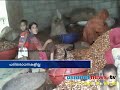 child labour again in kozhikode കുട്ടികള്‍ അനുഭവിക്കുന്നത്‌ കടുത്ത ചൂഷണം