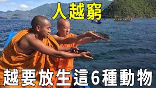 越是貧窮的人，越要放生這6種動物！福德大到不可思議！【曉書說】