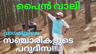 വാഗമൺ പൈൻ വാലി – സഞ്ചാരിയുടെ പറുദീസ !!! | #idukkitrip | #travelvlog | Jobin Johnson