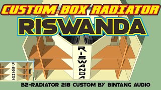 Download Mp3 BOX SPEAKER RADIATOR RISWANDA(CUSTOM BY BINTANG AUDIO)