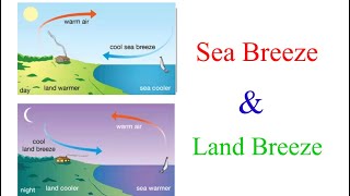 Sea Breeze and Land Breeze | Periodic Winds |