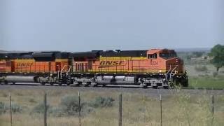 BNSF 6224/ 9123 / 4491 Yellowstone grain train