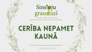 Sinepju Graudiņš // Cerība Nepamet Kaunā #177