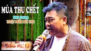 Mùa Thu Chết ( tg Phạm Duy ) - Tuyệt Phẩm hát LIVE Guitar Bolero Mái Lá | Minh Phương