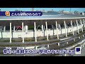 国立競技場q u0026a動画　どんな植物があるの？