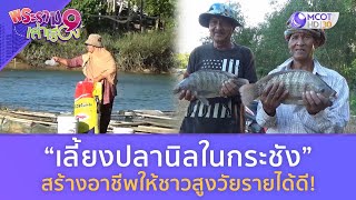 “เลี้ยงปลานิลในกระชัง” สร้างอาชีพให้ชาวสูงวัยรายได้ดี!  (2 มี.ค. 67) | พระราม 9 เล่าเรื่อง