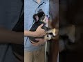 賢い犬は壁に手をつくらしいのでやってみた‼️チワワ編【8k】 shorts dog チワワ