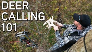 Deer Calling Tips | Rattling and Grunting To Bucks