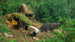 Building an Underground Shelter on Christmas: A Safe Haven from Wild Boars.