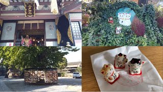 【今戸神社/Imato-shrine】ピンクの社殿がかわいい！招き猫と縁結びの神様/縁起物/浅草