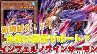 【遊戯王】新規紹介！サーモン強化！？インフェルノクインサーモン！デッキからサーモンを呼べるぞ！！！