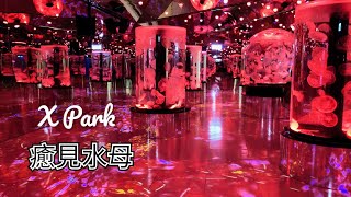 桃園 X Park 新都會型水族館 \