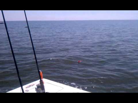 Trout Fishing Cedar Key Fl. - YouTube