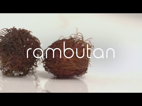 One Food Wonder: Rambutan | WebMD One Food Wonder: Rambutan | WebMD