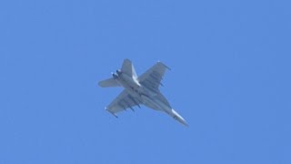 アイン村　戦闘機にびっくり!!   （Golden Retriever）　2016.2.16