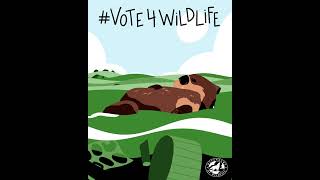 #Vote4Wildlife - Vote 4 Sea Otters #vote #wildlife #seaotter #seaotters