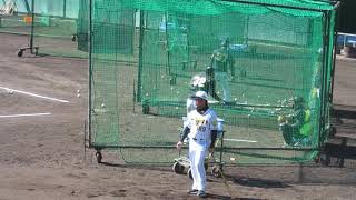 阪神タイガース　フリー打撃　山崎憲晴　20180207