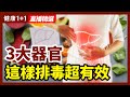 新陳代謝不暢毒素積纍？3大器官這樣排毒超有效！| 健康1+1 · 直播