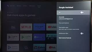 TCL Android TV : How to Fix Voice Control or Google Assistant Not Working Issue