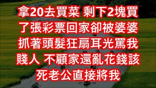 拿20去買菜 剩下2塊買了張彩票回家卻被婆婆抓著頭髮狂扇耳光罵我賤人 不顧家還亂花錢該死老公直接將我