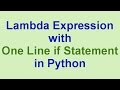 Python Tips & Tricks: Lambda Expression with One Line if