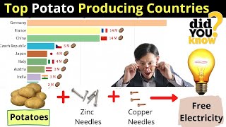 Top 10 Potato producing countries in the world 1961-2019 Everything You Need to Know About Potatoes